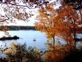 Lake in the Fall.jpg