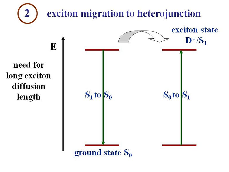 File:Opv16 migration.JPG