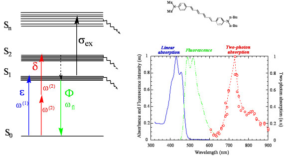 Two Photon Absorption - CleanEnergyWIKI